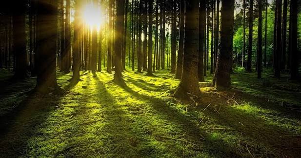 Komentovaná vycházka lesem Klucaninou pro předškoláky  8.10.2026